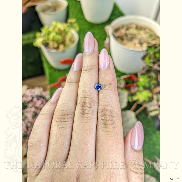 0.52 Ct. Blue Sapphire from Ceylon (Sri Lanka)