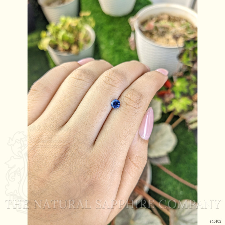 0.52 Ct. Blue Sapphire from Ceylon (Sri Lanka)