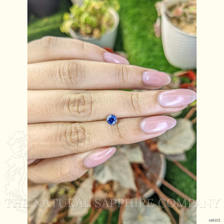 0.52 Ct. Blue Sapphire from Ceylon (Sri Lanka)