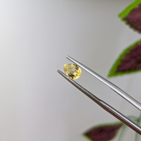 0.97 Ct. Yellow Sapphire from Ceylon (Sri Lanka) Life Style