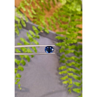 2.73 Ct. Blue Sapphire from Ceylon (Sri Lanka) Life Style