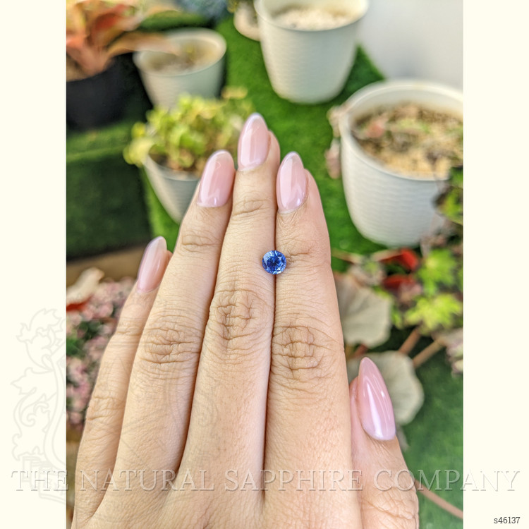 1.09 Ct. Blue Sapphire from Ceylon (Sri Lanka)