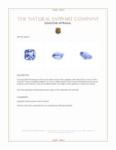 4.08 Ct. Blue Sapphire from Ceylon (Sri Lanka) Appraisal