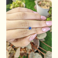 0.76 Ct. Blue Sapphire from Ceylon (Sri Lanka) Life Style