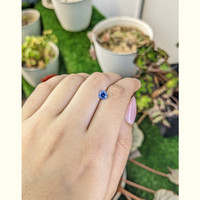 0.76 Ct. Blue Sapphire from Ceylon (Sri Lanka) Life Style
