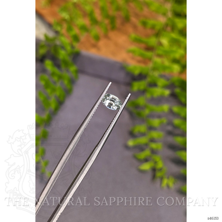 1.05 Ct. Yellowish Green Sapphire from Ceylon (Sri Lanka)