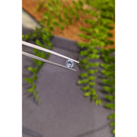 0.62 Ct. Greyish Blue Sapphire from Ceylon (Sri Lanka) Life Style