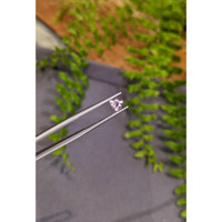 0.60 Ct. Pink Sapphire from Ceylon (Sri Lanka) Life Style