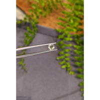 0.64 Ct. Greenish Yellow Sapphire from Ceylon (Sri Lanka) Life Style