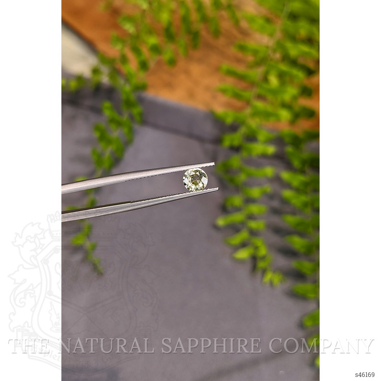 0.64 Ct. Greenish Yellow Sapphire from Ceylon (Sri Lanka)