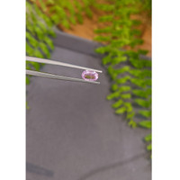 0.72 Ct. Pink Sapphire from Ceylon (Sri Lanka) Life Style