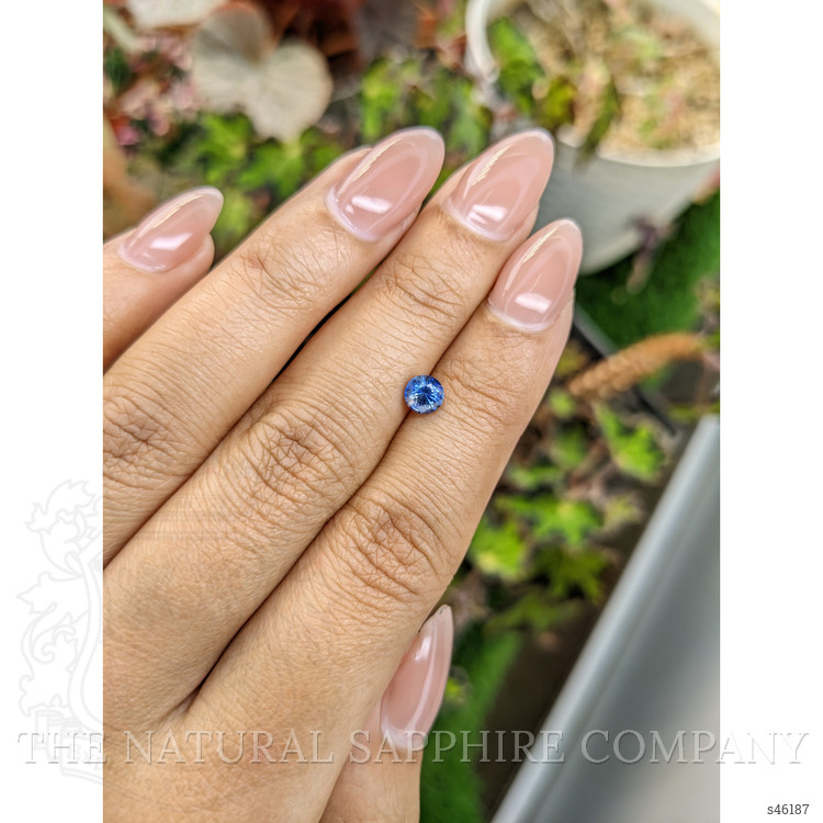 0.65 Ct. Blue Sapphire from Ceylon (Sri Lanka)