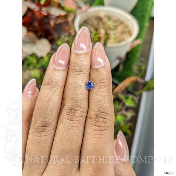 0.53 Ct. Blue Sapphire from Ceylon (Sri Lanka)