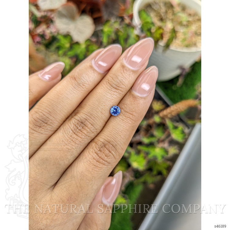 0.53 Ct. Blue Sapphire from Ceylon (Sri Lanka)