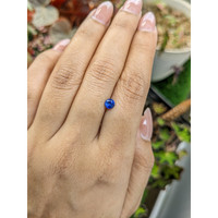 0.48 Ct. Blue Sapphire from Ceylon (Sri Lanka) Life Style