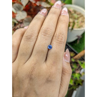 0.55 Ct. Blue Sapphire from Ceylon (Sri Lanka) Life Style