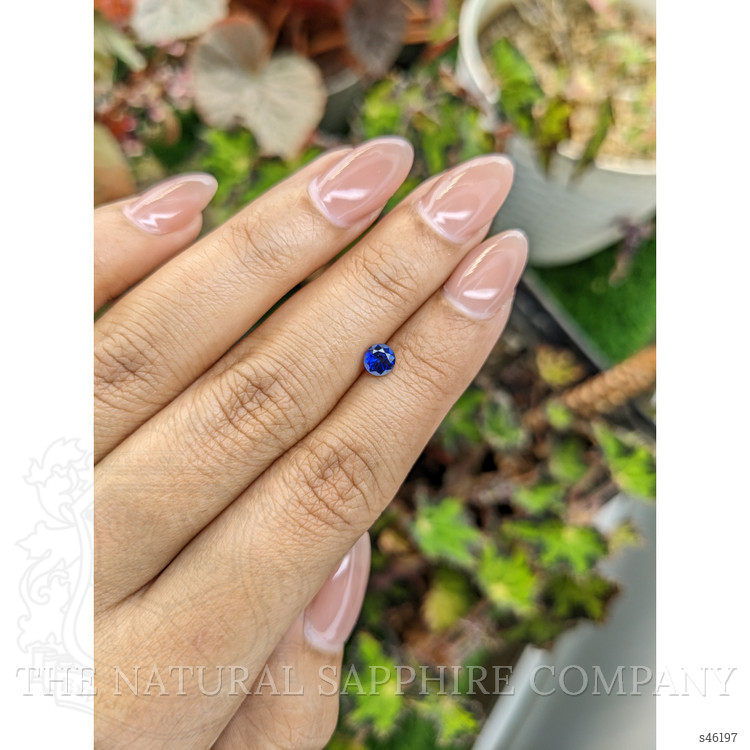 0.51 Ct. Blue Sapphire from Ceylon (Sri Lanka)
