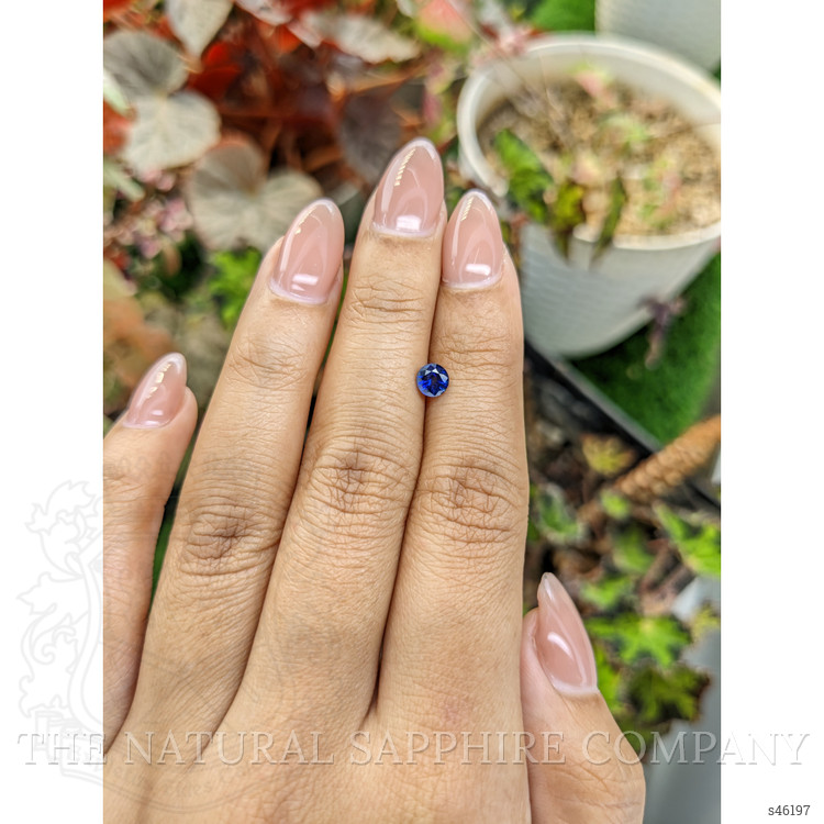 0.51 Ct. Blue Sapphire from Ceylon (Sri Lanka)