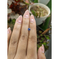0.45 Ct. Blue Sapphire from Ceylon (Sri Lanka) Life Style