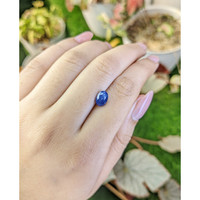 1.95 Ct. Blue Sapphire from Ceylon (Sri Lanka) Life Style