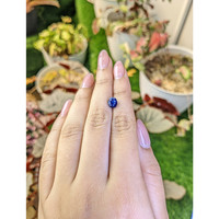1.59 Ct. Blue Sapphire from Ceylon (Sri Lanka) Life Style