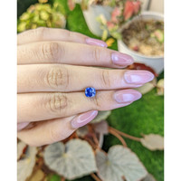 1.46 Ct. Blue Sapphire from Ceylon (Sri Lanka) Life Style
