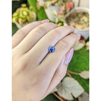 1.46 Ct. Blue Sapphire from Ceylon (Sri Lanka) Life Style