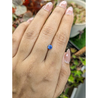 0.55 Ct. Blue Sapphire from Ceylon (Sri Lanka) Life Style