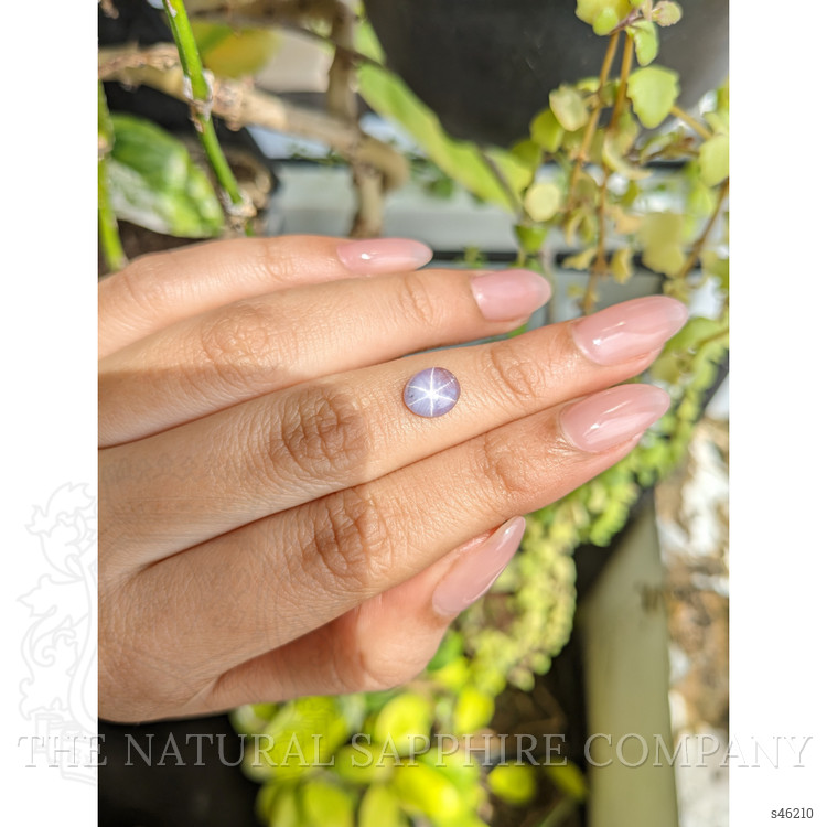 1.83 Ct. Purple Star Sapphire from Ceylon (Sri Lanka)