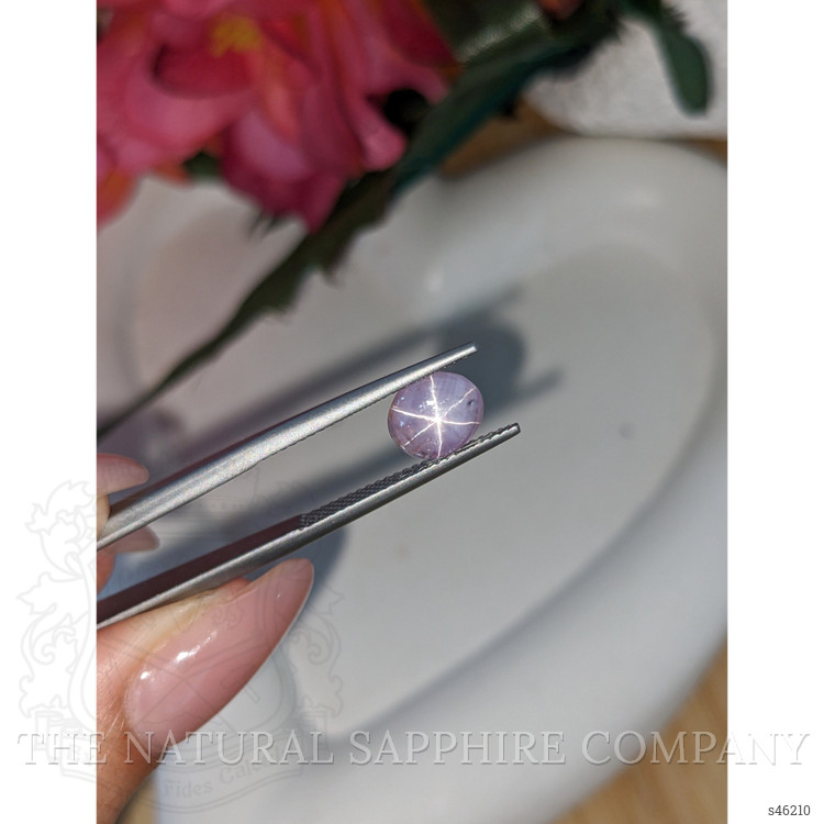 1.83 Ct. Purple Star Sapphire from Ceylon (Sri Lanka)