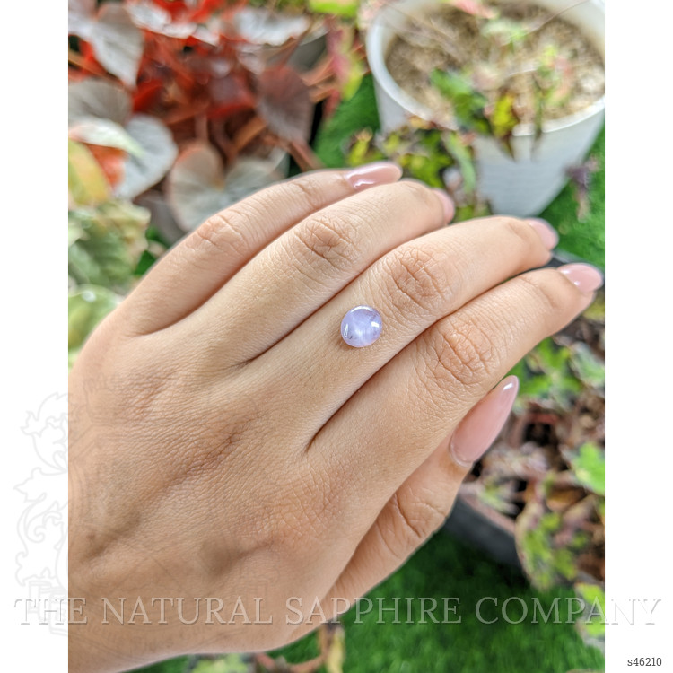 1.83 Ct. Purple Star Sapphire from Ceylon (Sri Lanka)