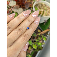 0.47 Ct. Blue Sapphire from Ceylon (Sri Lanka) Life Style