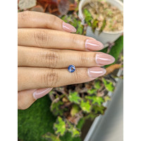 0.80 Ct. Blue Sapphire from Ceylon (Sri Lanka) Life Style