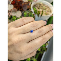 0.60 Ct. Blue Sapphire from Ceylon (Sri Lanka) Life Style