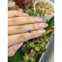 0.60 Ct. Blue Sapphire from Ceylon (Sri Lanka) Life Style