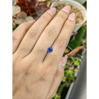 0.68 Ct. Blue Sapphire from Ceylon (Sri Lanka) Life Style