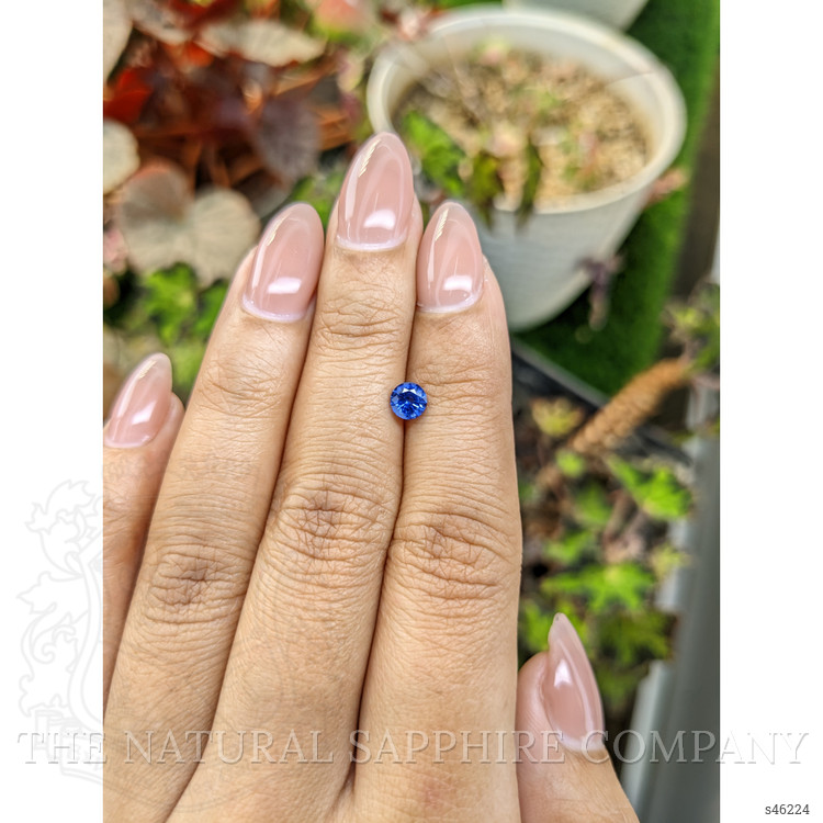 0.55 Ct. Blue Sapphire from Ceylon (Sri Lanka)