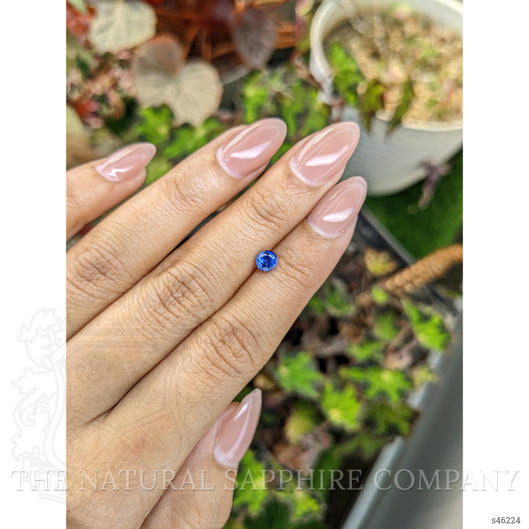 0.55 Ct. Blue Sapphire from Ceylon (Sri Lanka)