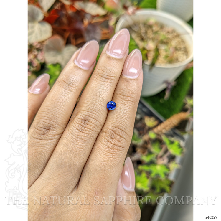 0.52 Ct. Blue Sapphire from Ceylon (Sri Lanka)