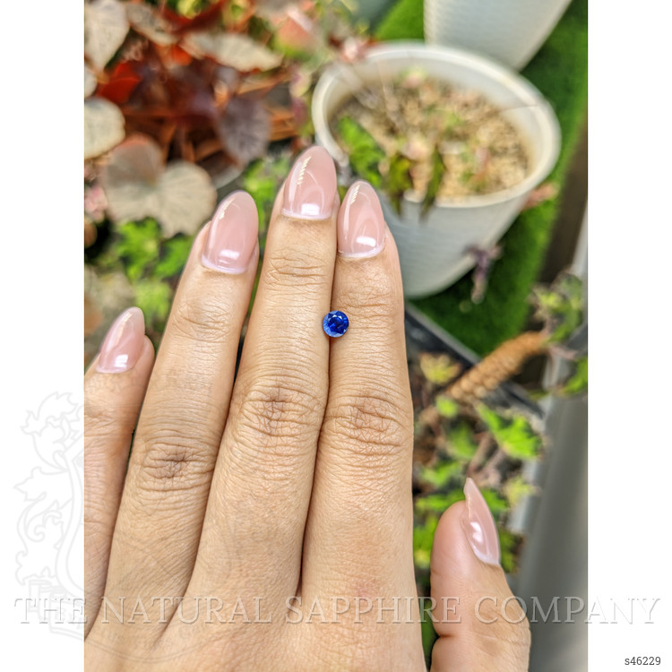 0.55 Ct. Blue Sapphire from Ceylon (Sri Lanka)