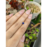 0.46 Ct. Blue Sapphire from Ceylon (Sri Lanka) Life Style
