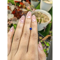 0.67 Ct. Blue Sapphire from Ceylon (Sri Lanka) Life Style