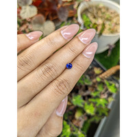 0.67 Ct. Blue Sapphire from Ceylon (Sri Lanka) Life Style