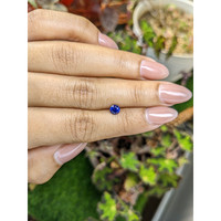 0.67 Ct. Blue Sapphire from Ceylon (Sri Lanka) Life Style