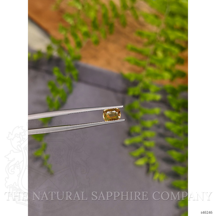 0.63 Ct. Yellow Sapphire from Ceylon (Sri Lanka)