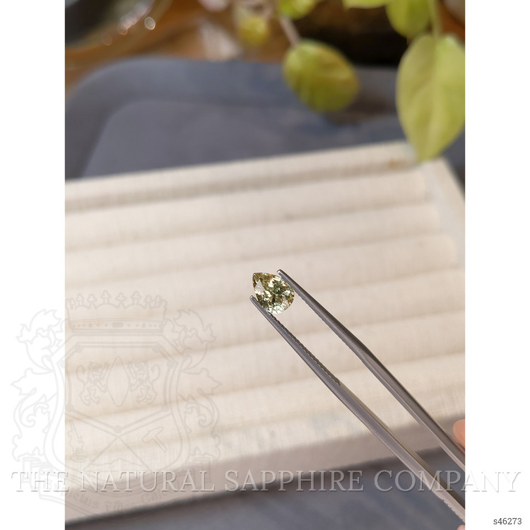 1.24 Ct. Greenish Yellow Sapphire from Ceylon (Sri Lanka)