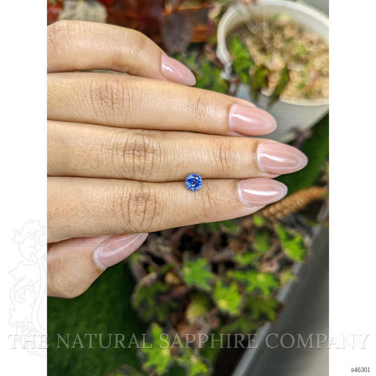 0.71 Ct. Blue Sapphire from Ceylon (Sri Lanka)