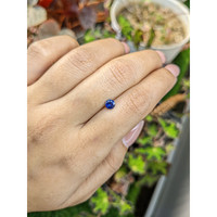 0.48 Ct. Blue Sapphire from Ceylon (Sri Lanka) Life Style