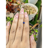 0.48 Ct. Blue Sapphire from Ceylon (Sri Lanka) Life Style