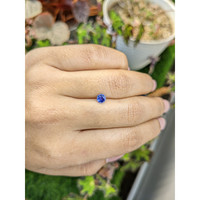 0.47 Ct. Blue Sapphire from Ceylon (Sri Lanka) Life Style